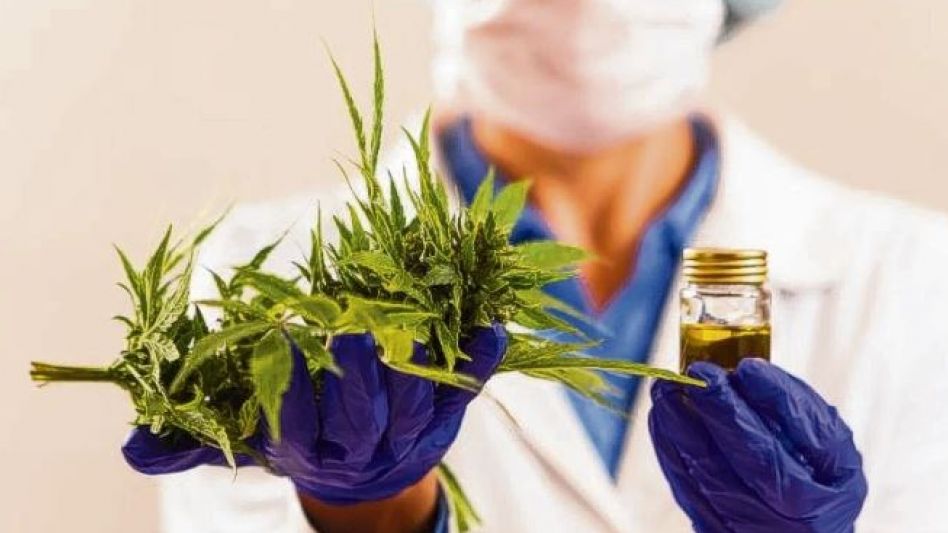 La Corte Suprema ordenó a obra social cubrir un tratamiento que requiere aceite de cannabis