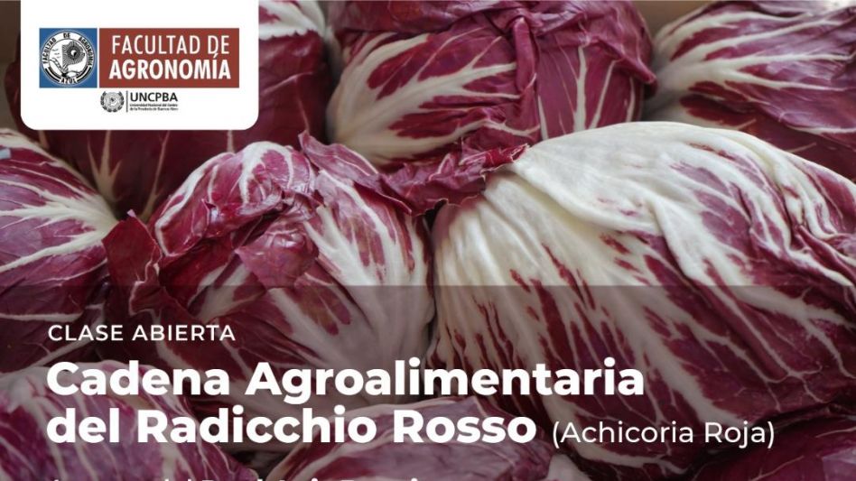   "Cadena Agroalimentaria   del Radicchio Rosso"