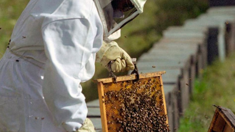 Charlas para productores apícolas y lecheros