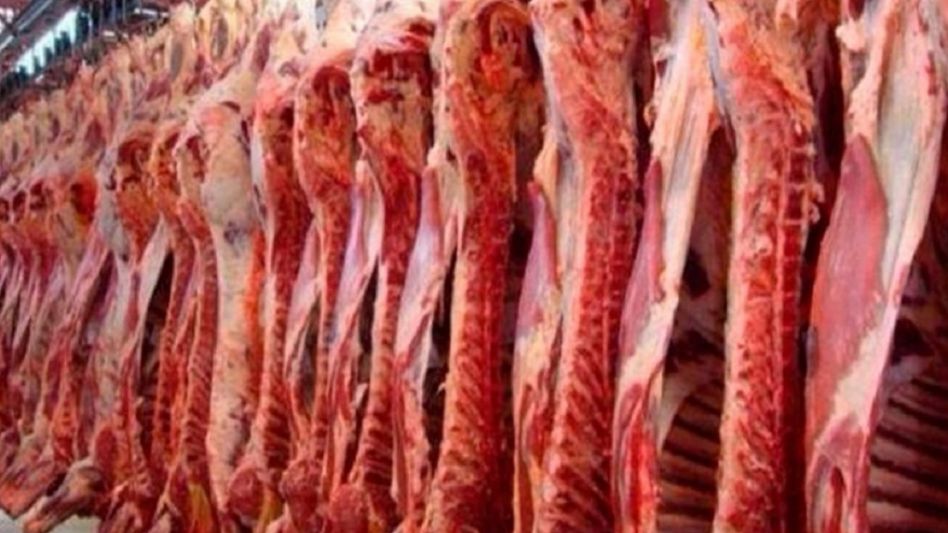 Las exportaciones de carne en septiembre mostraron una merma de 5%, respecto de 2020.
