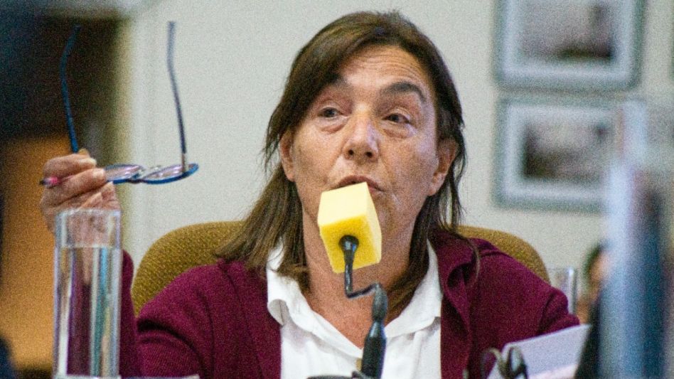 Es importante no sólo que respondan el pedido de informes, sino que también aceleren la ejecución de la dotación de los servicios en el sector en el que están los lotes, dijo  Laurini.