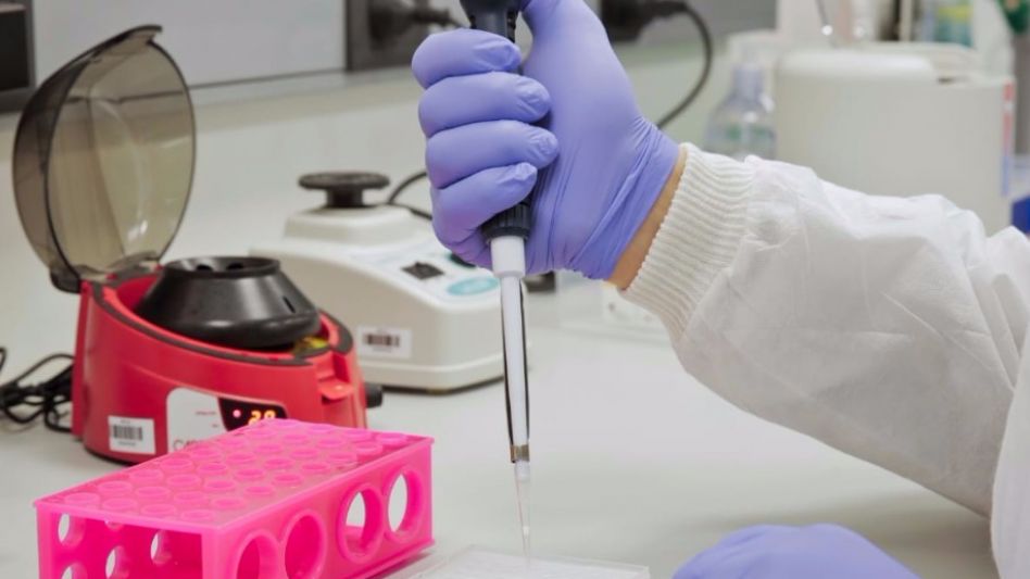 Coronavirus: la pandemia reporta cifras similares a mayo de 2020 gracias a la vacunación
