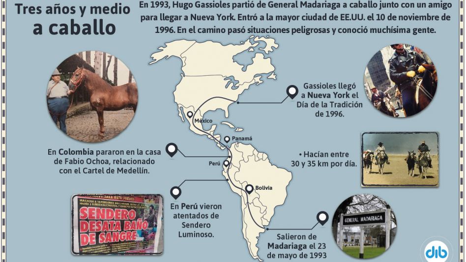 Infografía: DIB
