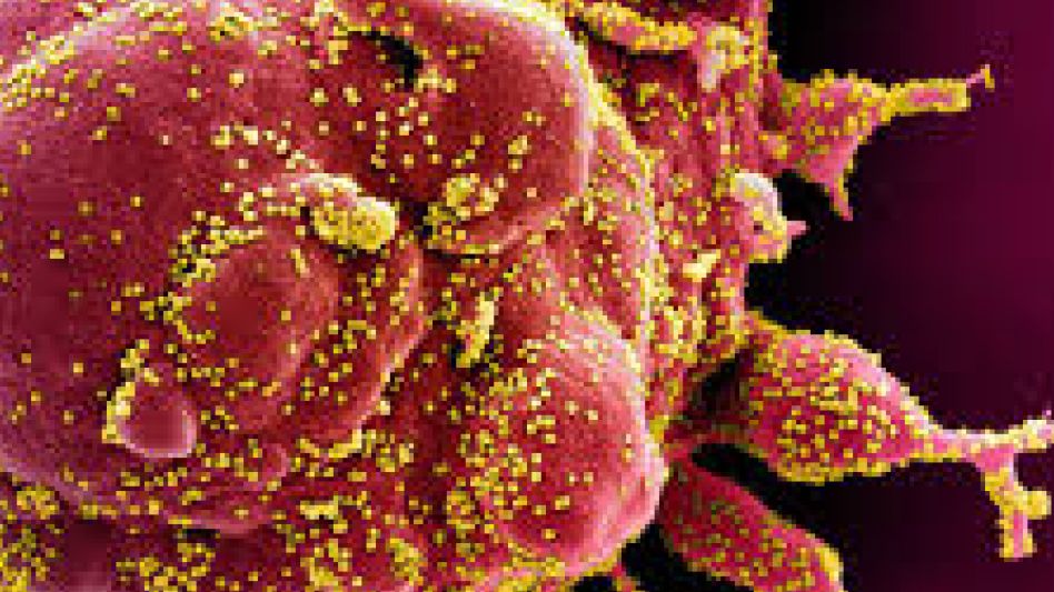 Covid-19: la OMS nombra Omicron a la nueva variante y dice que es "preocupante"