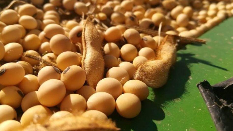 Según la Bolsa de Comercio de Rosario, el 2021 concluirá con exportaciones para las seis principales cadenas agroindustriales por US$ 37.134 millones. (www.tranquera.com.ar)