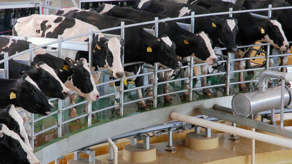 Según una estimación de la Cámara de Productores de Leche de la Cuenca del Oeste de la provincia de Buenos Aires, los tambos argentinos lograrían este año un volumen de leche de 11,5 mill de litros