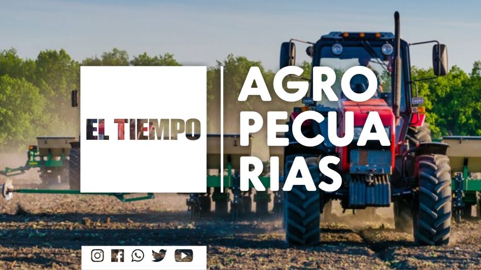 Preocupa la posible falta de combustible