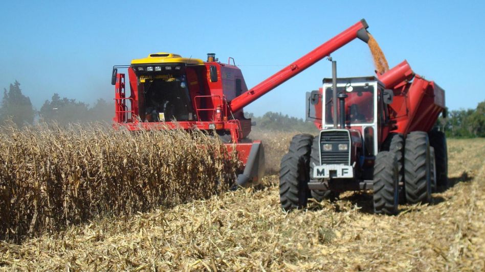 Un consumidor pagó en diciembre 5,8 veces más que lo que cobró un productor