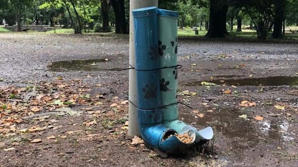 Comederos y bebederos en Azul 