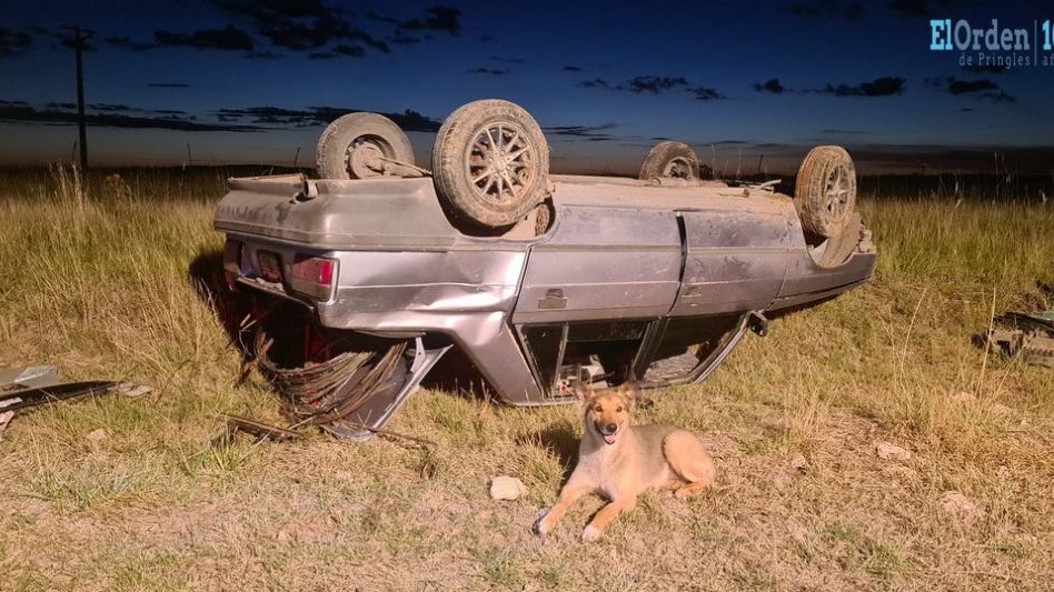 Amigo fiel: se despistó en auto y su perro se quedó con él hasta que los socorrieron