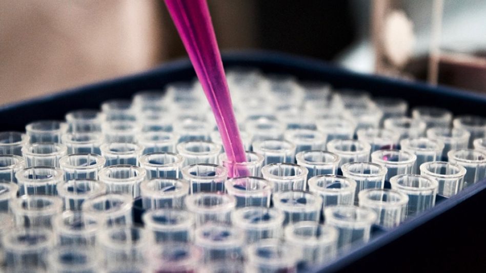  La variante beta de coronavirus generaría anticuerpos para delta y ómicron