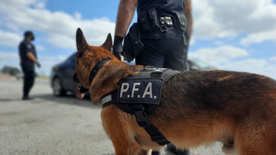 La Policía Federal Argentina con asiento en esta ciudad efectuó un control automotor/poblacional en la intersección de la Ruta Nacional N° 3 y Ruta Provincial 60.