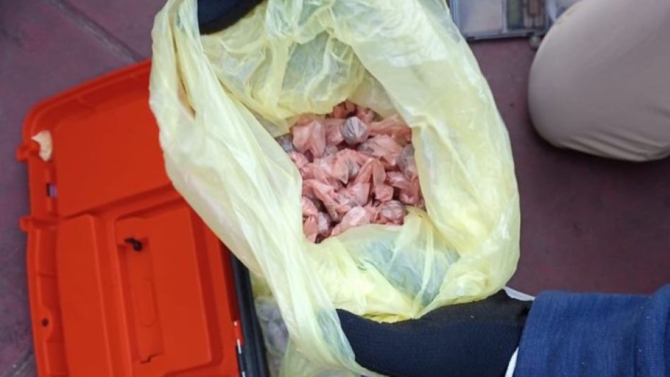 Cocaína envenenada: al menos 20 personas fallecidas, 74 hospitalizadas y se esperaban más víctimas