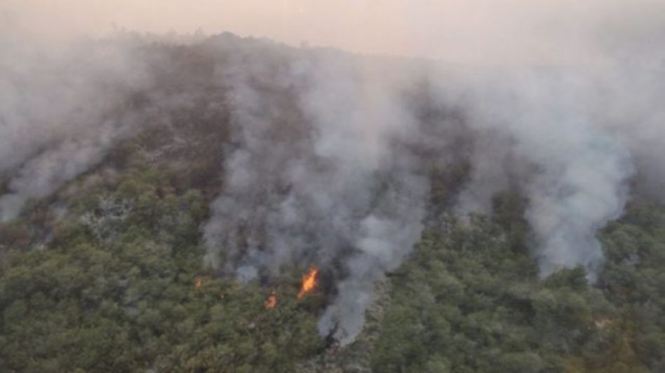Se declaró el estado de emergencia y desastre agropecuario en la provincia de Misiones y en departamentos de las de Córdoba y Mendoza, afectadas por sequías, incendios y heladas.