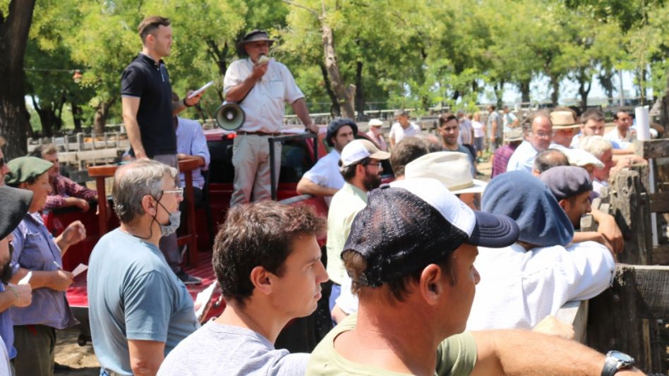 El primer remate del año con interés y demanda en la feria de Adolfo Koerner y Cía.