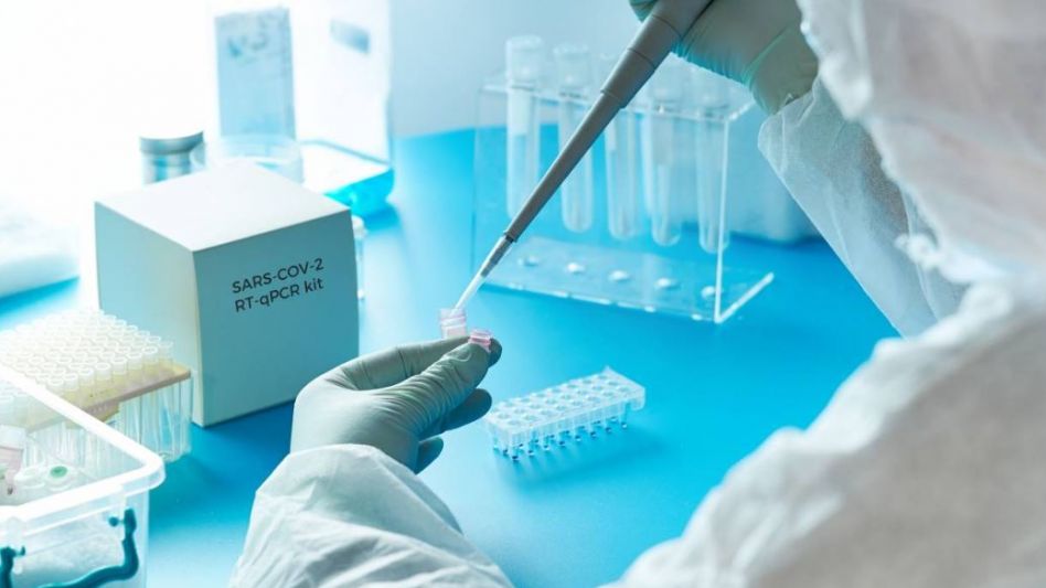 Coronavirus: más de 17.000 contagios informados y otros 180 fallecidos