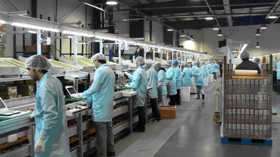 Kulfas destacó la recuperación industrial tras conocerse que diciembre fue el mejor desde 2016