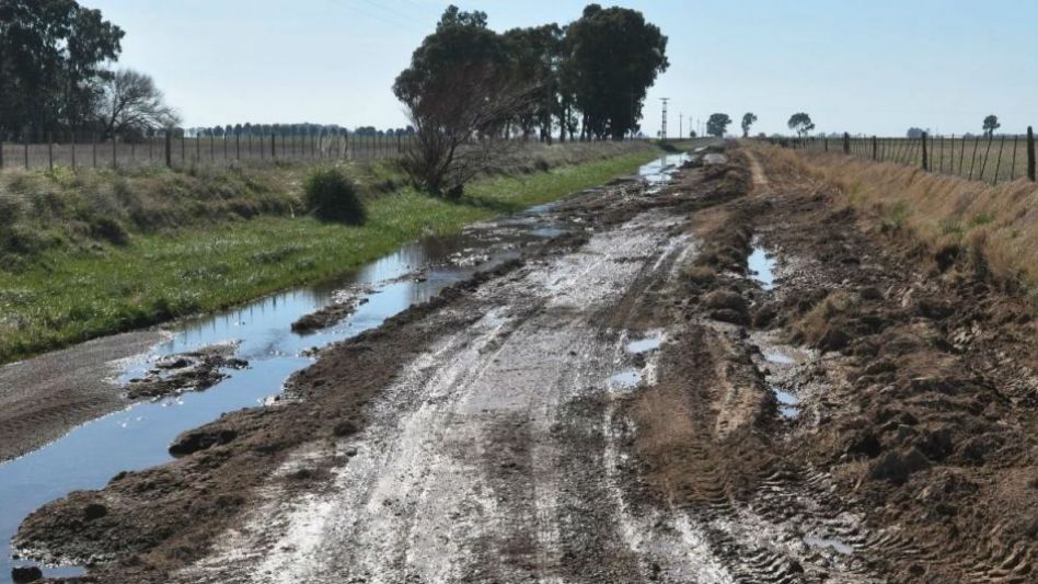 Vialidad provincial licitó obras para mejorar   260 kilómetros en 9 comunas, entre ellas Azul