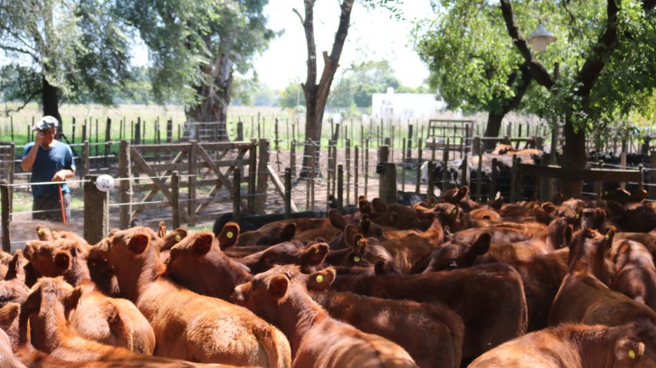 Los colorados de Cenegal que sobresalieron en Cacharí.