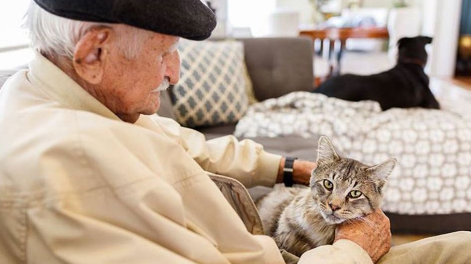 Convivir con animales reduce el deterioro cognitivo, la presión sanguínea y el estrés