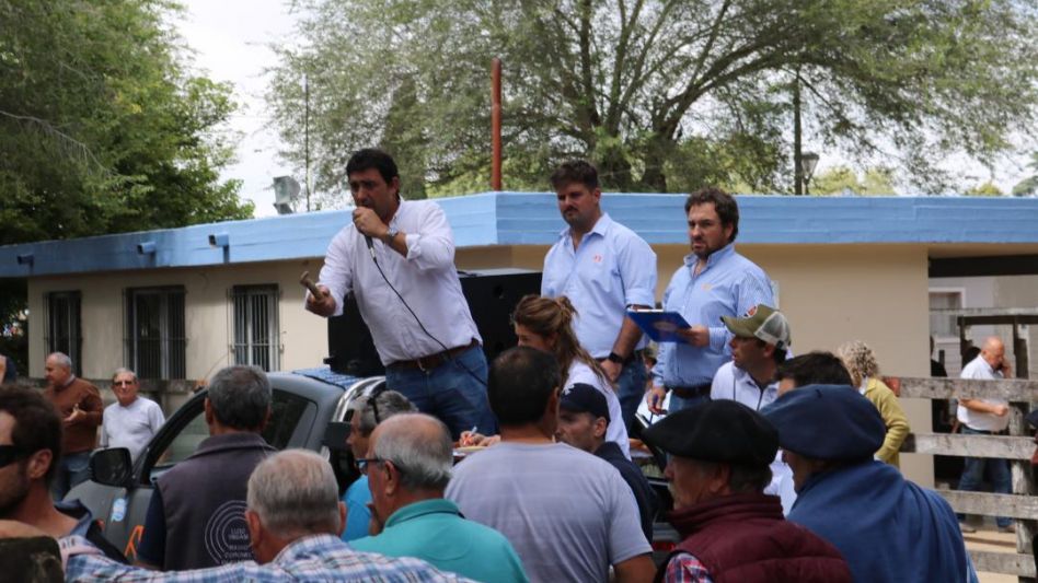 Roberto Mondino, Julián Bicondoa y Ezequiel Hourcade trabajando en la Sociedad Rural de Olavarría.