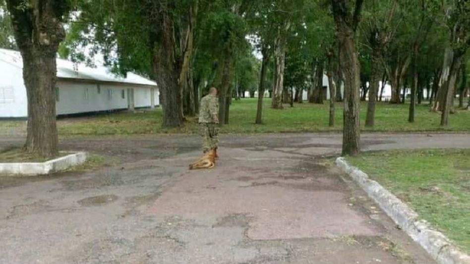 Olavarría: un militar arrastró y golpeó a un perro abandonado hasta matarlo y los vecinos piden justicia