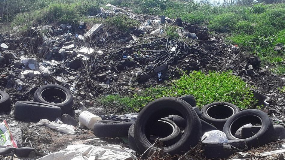 Vecinos de la zona de Salta entre calles 208 y 213 piden soluciones ante el basural a cielo abierto existente en ese sector de la ciudad.