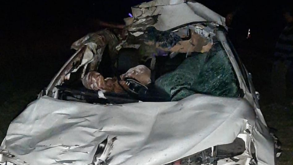 Dos caballos sueltos provocaron un siniestro vial en la Ruta 3