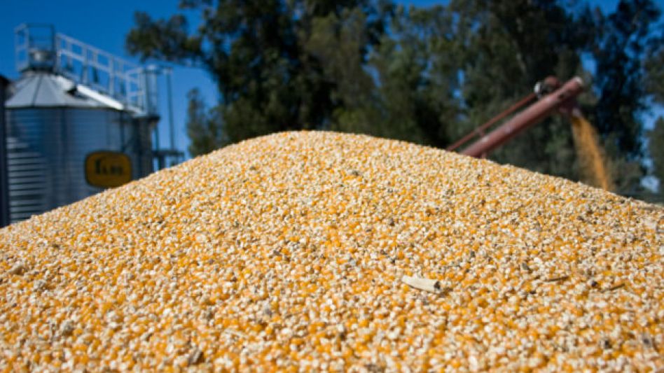 La FAO destacó que el precio de los cereales ?aumentó en un 17,1% con respecto a febrero. 