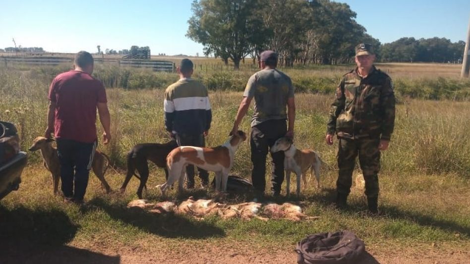 Cuando fueron interceptados en la zona rural por el personal policial, los cazadores tenían en su poder diez liebres que les fueron decomisadas. FOTOS: CPR AZUL/PBA