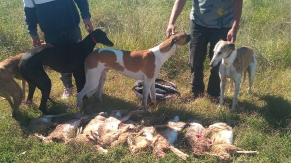 Policías del CPR Azul infraccionaron a tres cazadores furtivos