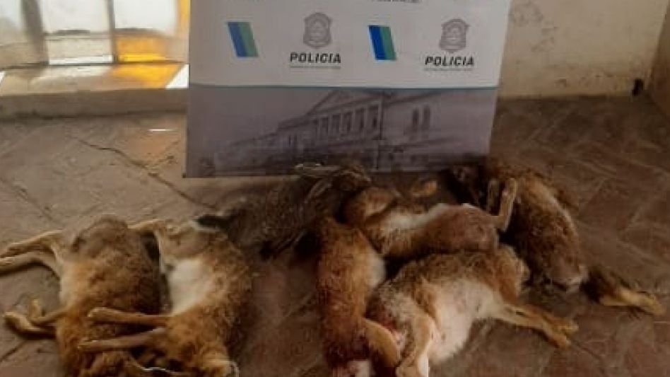  Infraccionaron a tres cazadores furtivos