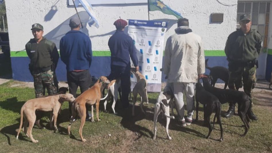 Personal policial llevó a cabo este procedimiento en un campo ubicado en el Cuartel XXI del Partido de Azul. FOTOS: CPR AZUL/PBA