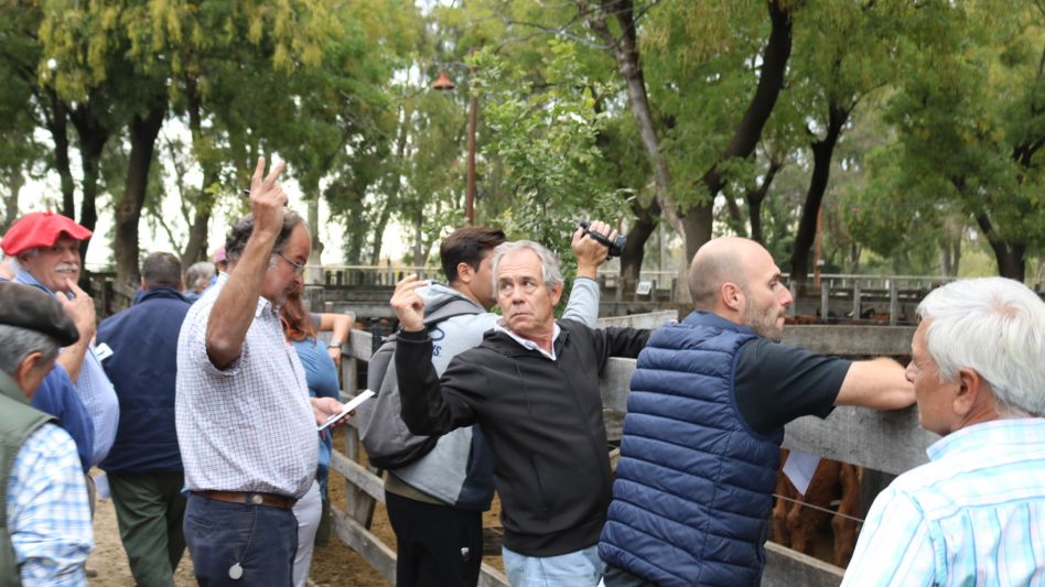Las manos levantadas de los compradores Juan Biaus y Mario Lobo en la venta de Néstor I. Goenaga y Cía.