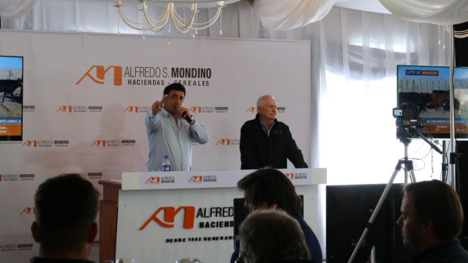 El martillero Roberto Mondino y su padre Alfredo S. Mondino al frente de las 14.000 cabezas.