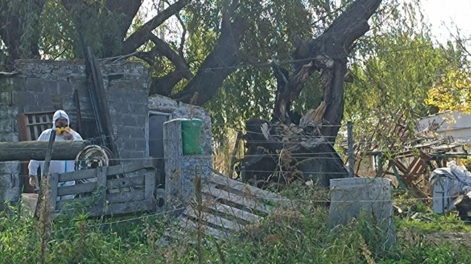 Informan un caso positivo de hantavirus en Saladillo