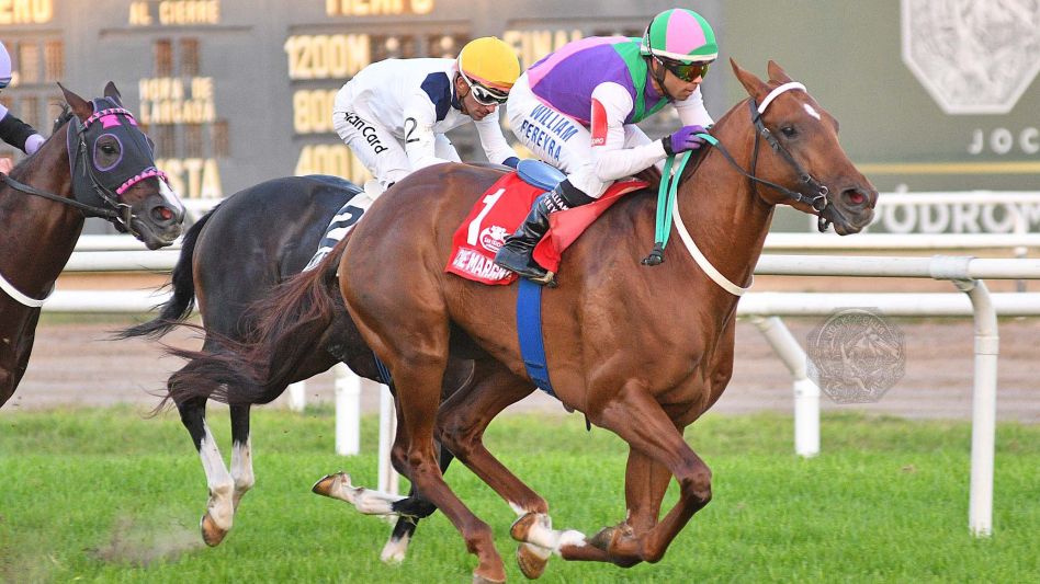Foto: gentileza Twitter Hipódromo San Isidro.