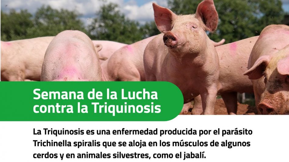 Cuidados para prevenir la triquinosis