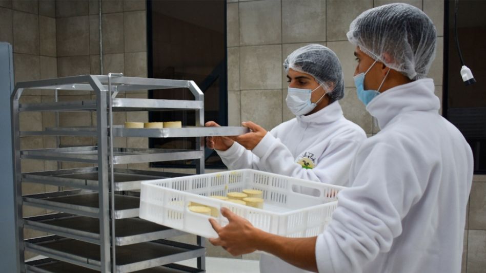 Inauguran la primera fábrica regional que produce quesos 100% a base de plantas