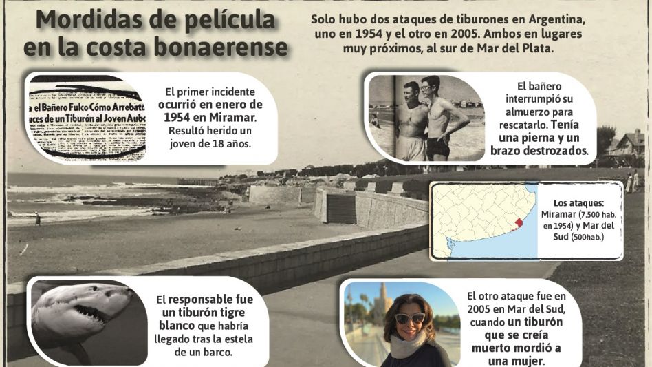 El día en el que el ataque de un tiburón le cortó el almuerzo a un bañero de Miramar