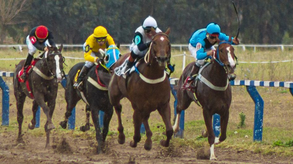 El hipódromo de Azul se prepara con todo para brindar una jornada importante. Foto: archivo Nacho Correa.