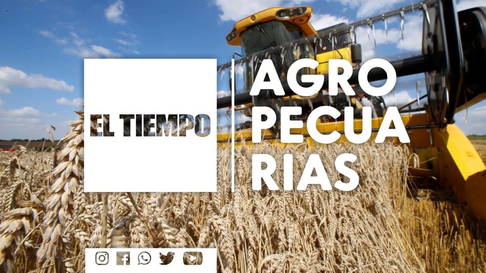 CARBAP y la falta de gasoil