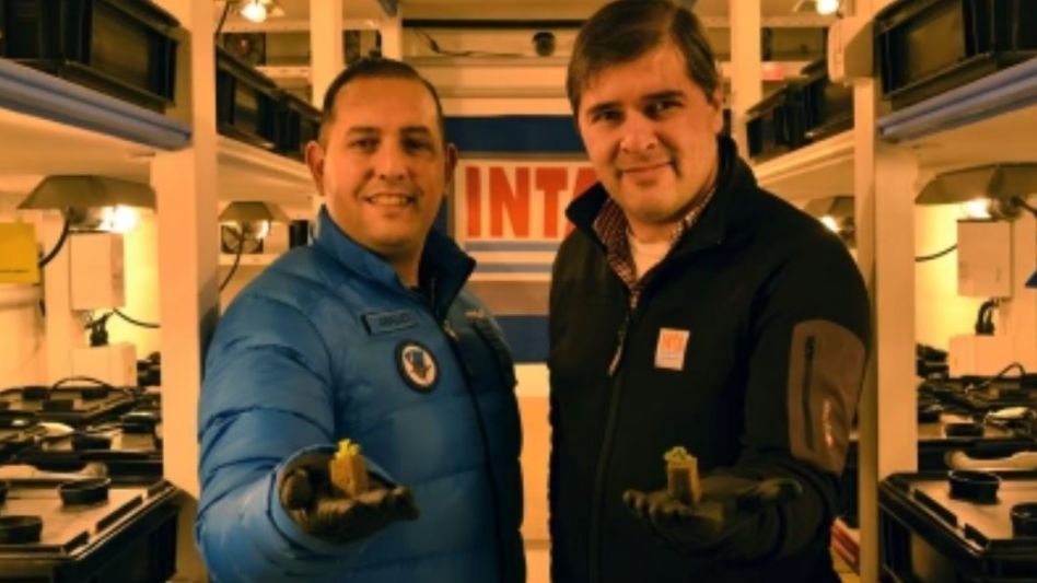 Los investigadores del INTA Boris Díaz y Jorge Birgi están en la Base Marambio, en el módulo hidropónico a cargo del desarrollo de las plantas.