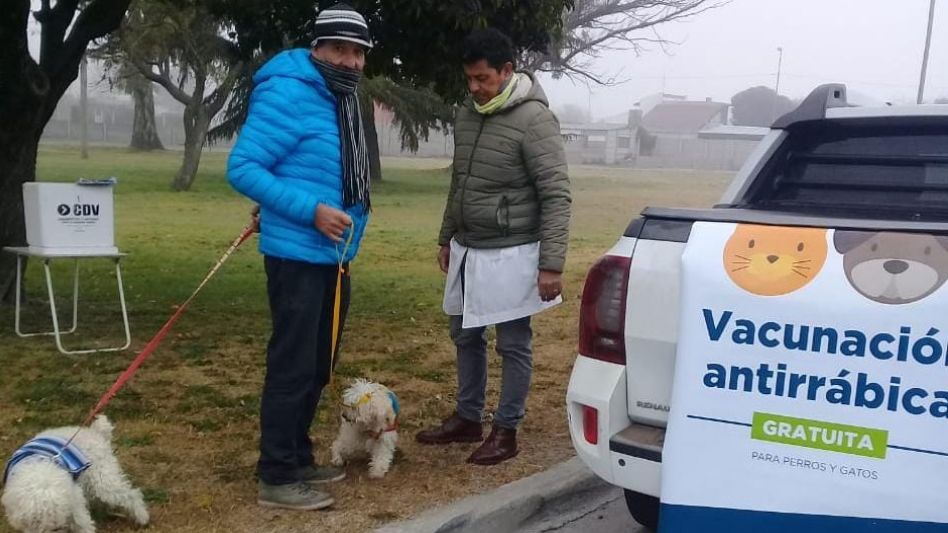 Vacunación antirrábica en el barrio Güemes