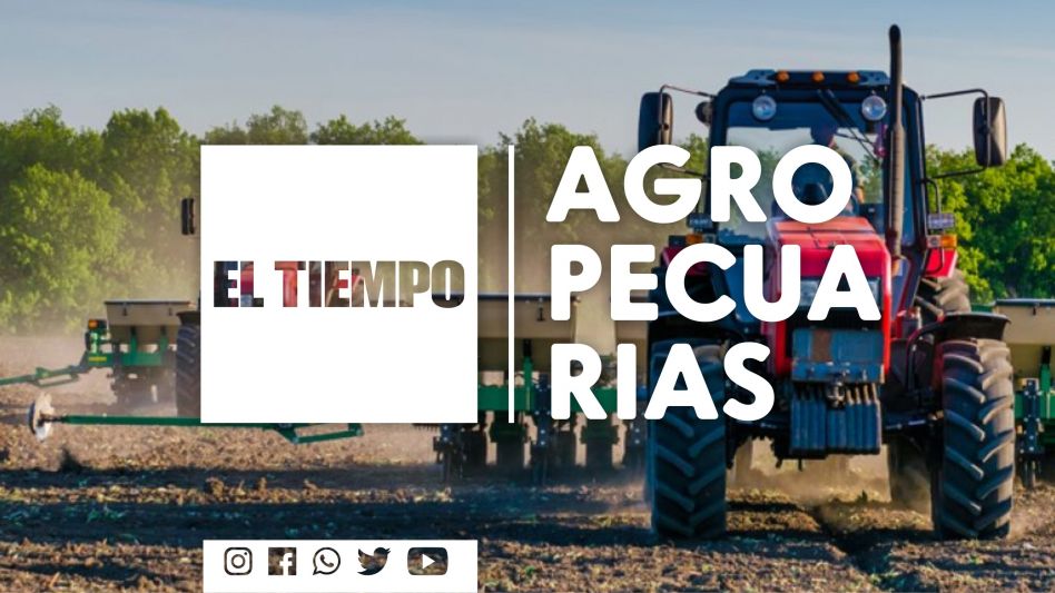 Solo 150 mil hectáreas para finalizar la cosecha de soja