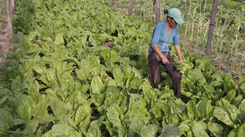 La Provincia condona deudas tributarias a 27.300 emprendimientos de la economía popular.