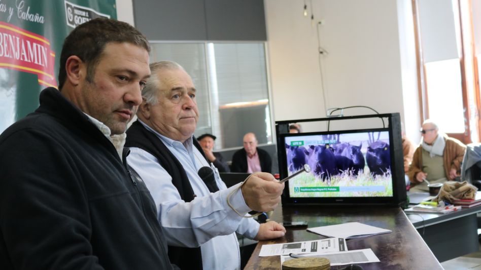 Los martilleros Juan I. Goenaga y Daniel Biocca vendiendo los 600 ejemplares de Don Benjamín e invitados por Canal Rural. 