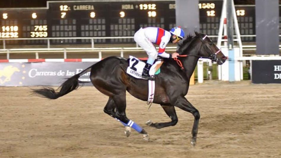 Es el mejor caballo de la actualidad del turf argentino y el más querido por los burreros. Foto: GENTILEZA TWITTER CLAUDIO TABORDA.