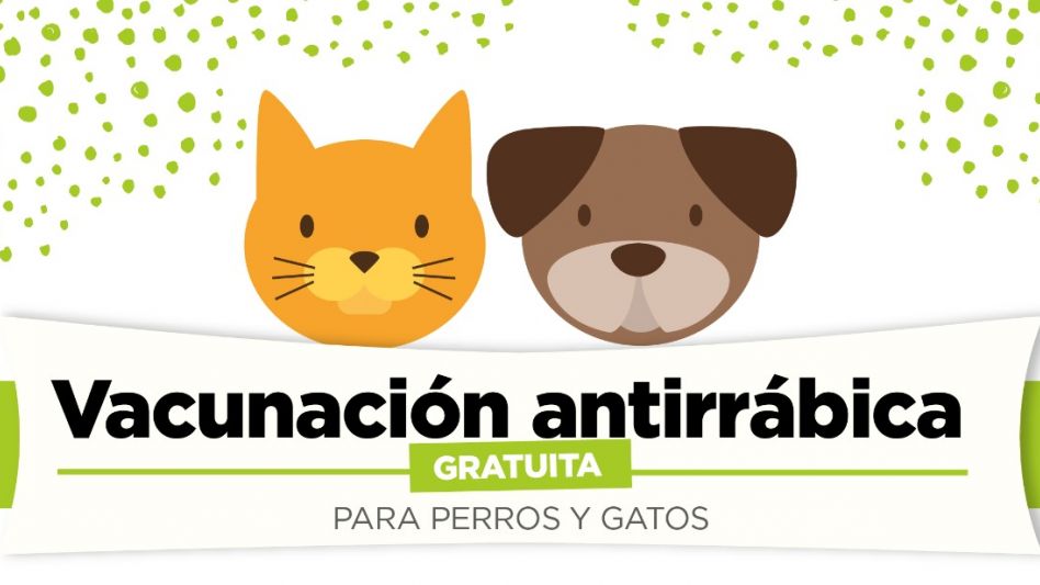 Vacunación antirrábica