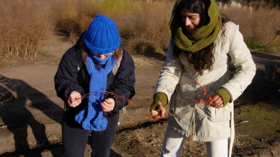 Jornada de espárragos en la Chacra Experimental de la Facultad de Agronomía